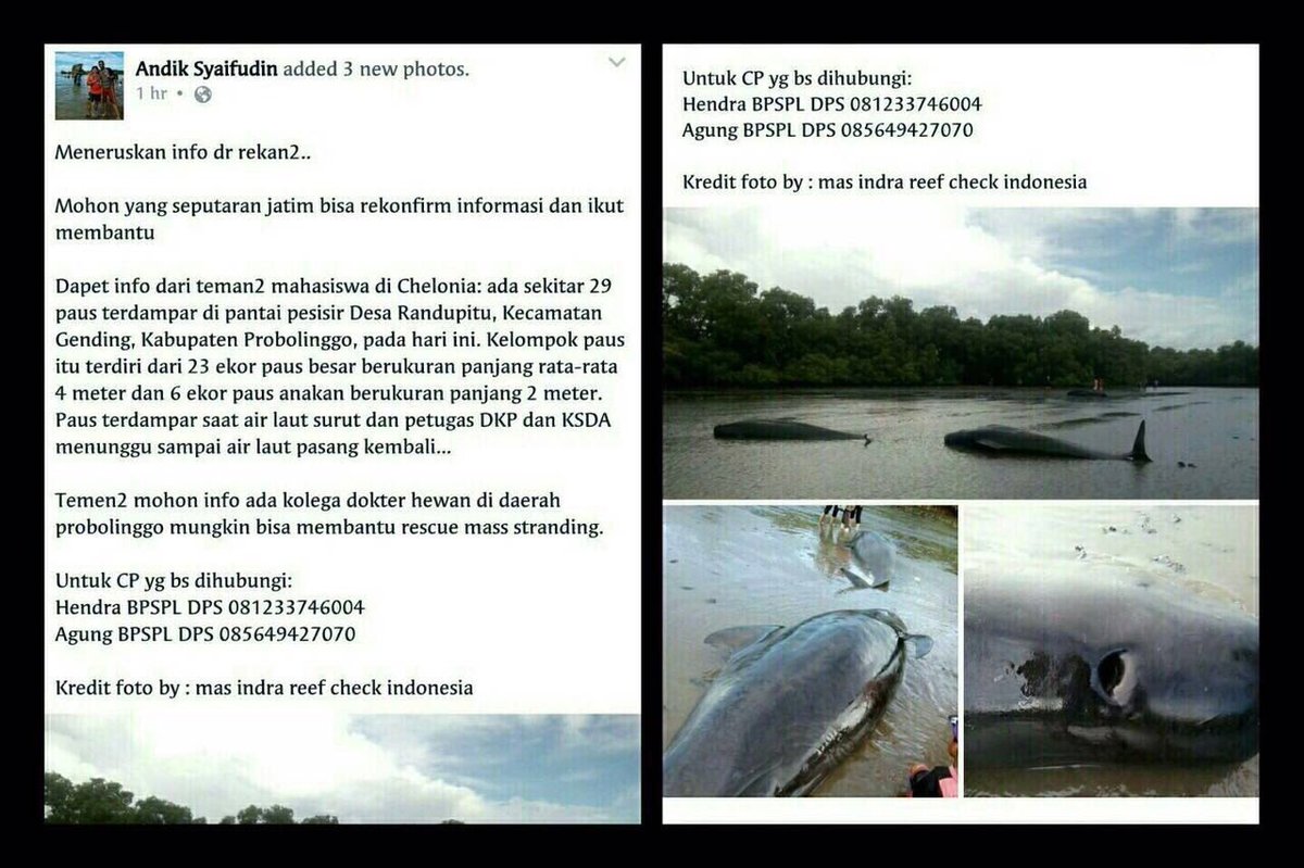 bobanbonbin's tweet photo. Bu @susipudjiastuti , mohon dibantu 🙏🏻 terima kasih. https://t.co/Yl6bN7pgQQ