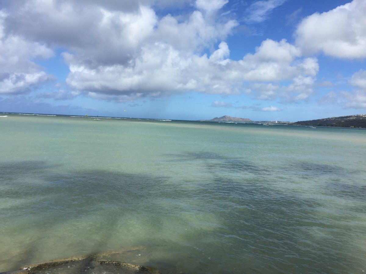 HisakoInHawaii's tweet image. #Portlock