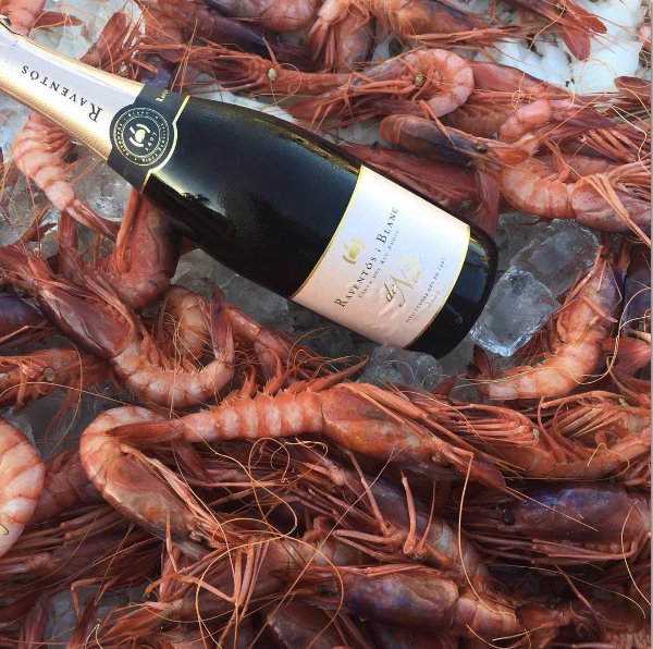 Advintage Dist. SC tweet media