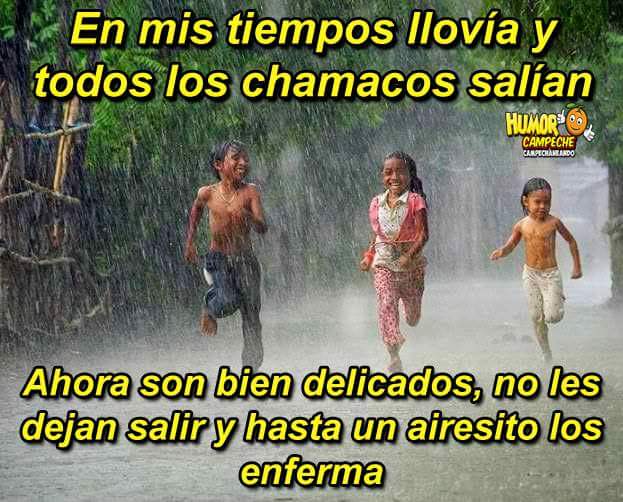 Gabriela Javier tweet media