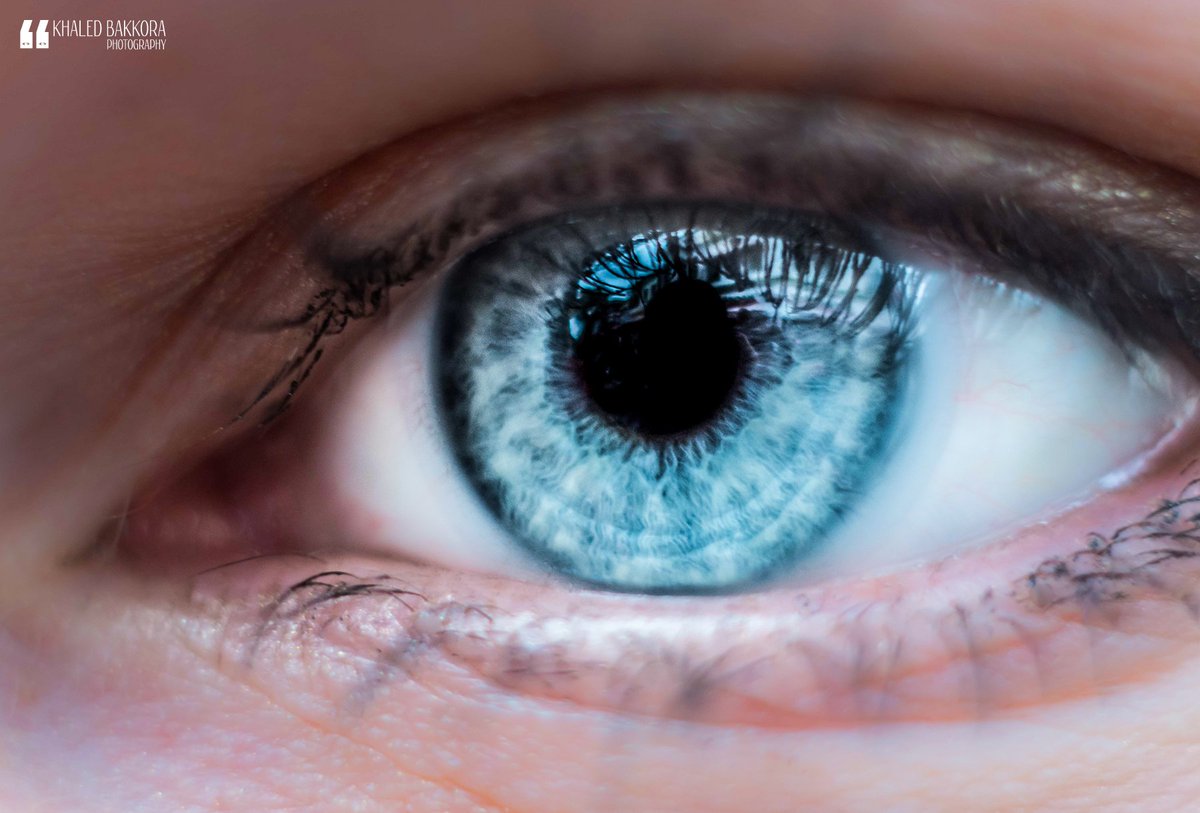 KBakkora's tweet photo. #Blue <3
#Eye #Eyescape #Macro #Nikon #Art #Photography #Color #Eyes #Photo #Dubai #UAE #Beauty #Beautiful #MyDubai https://t.co/l7OTgRpyaK