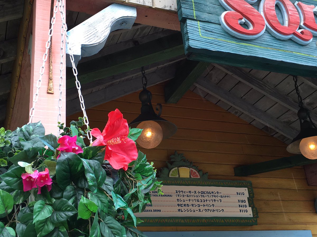 めいかはこまめに手を洗う さっきフラワーナントカの人が ハイビスカスの花言葉は 勇敢 アドベンチャーランドに咲いてます と言ったから探しにきたのに造花しか見つからんｗ だれか見つけたら教えてね