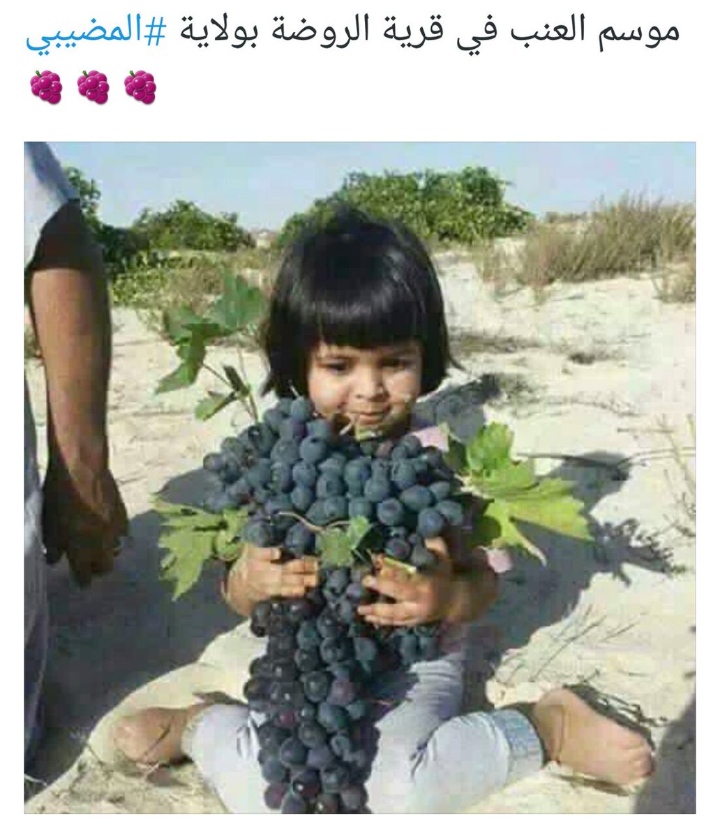محمد الحسني (@aedl100100) on Twitter photo 