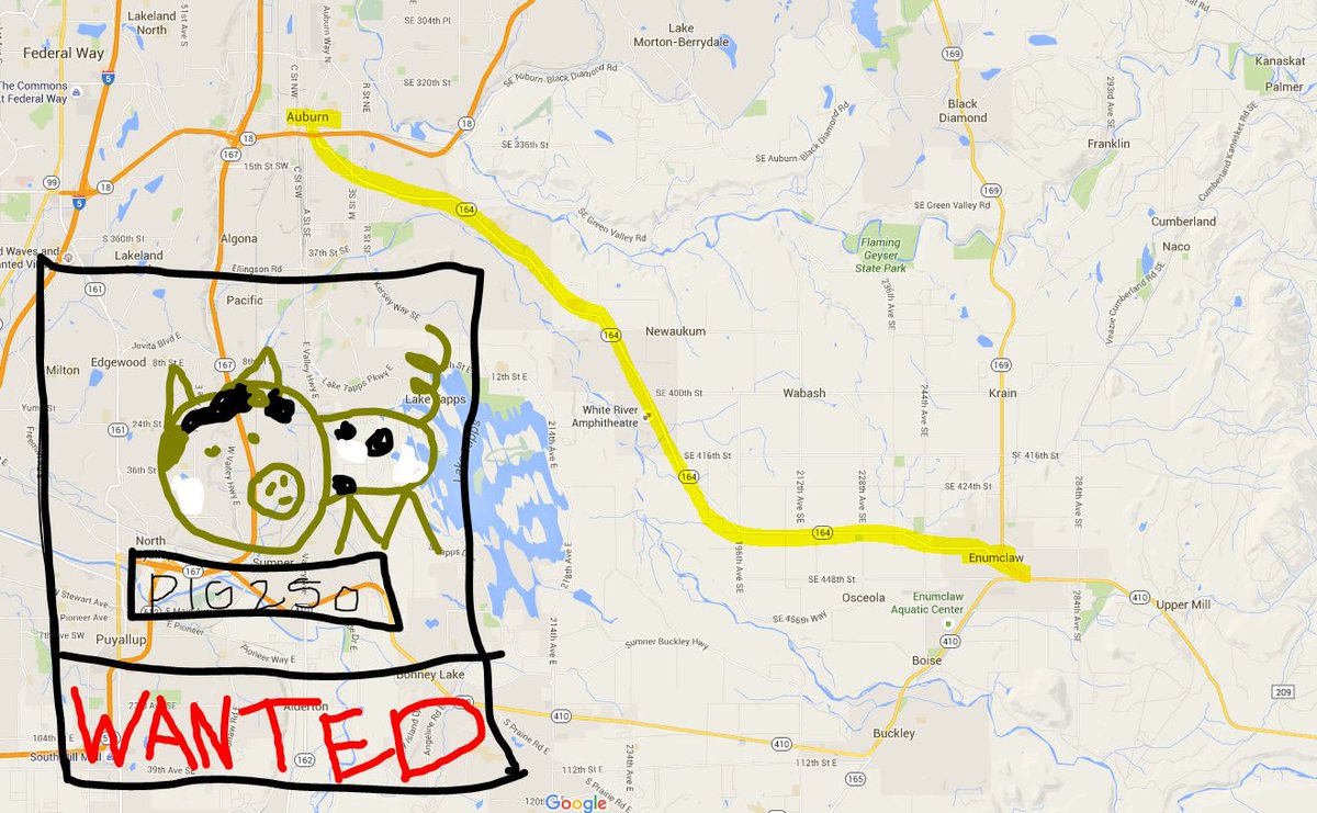 KING5Seattle's tweet photo. *Pig on the lam! 

@wsdot says 250-lb pig escaped near Auburn/Enumclaw. Have you seen it? 

*not actual photo of pig https://t.co/SpPT3ZpXr2