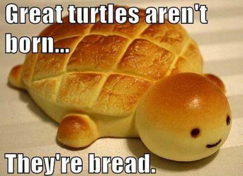 ThePunnyWorld's tweet photo. I knead to stop 😂😂 https://t.co/JUM4gnZJyL