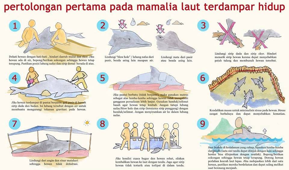 Badan Karantina Indonesia tweet media