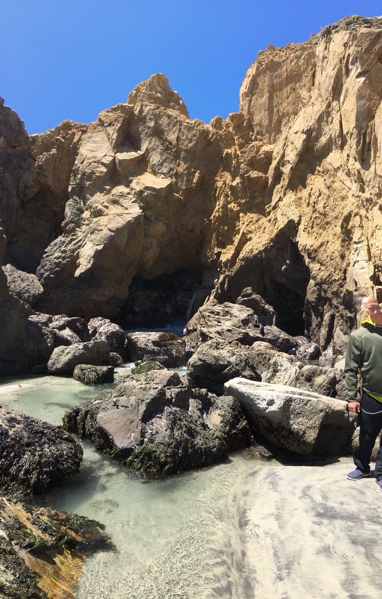 __andria_'s tweet photo. Heaven on Earth. Big Sur, CA https://t.co/eWmQ9IGx2Q