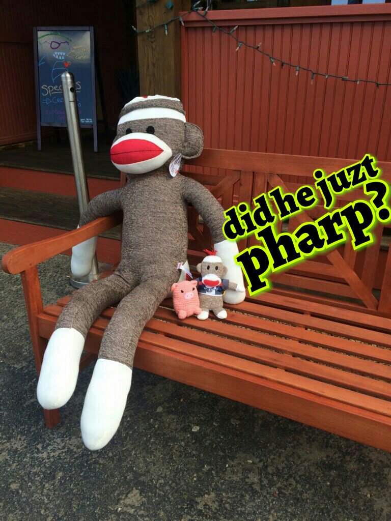 Blutospin's tweet photo. dat iz one #stinkymonkey @KhanCats @fancy_girl05 @Pixie_Tooth @fluffybasil @hugo4de @Fifi_LeBeau @3coolkatz https://t.co/hsn0mrFs11