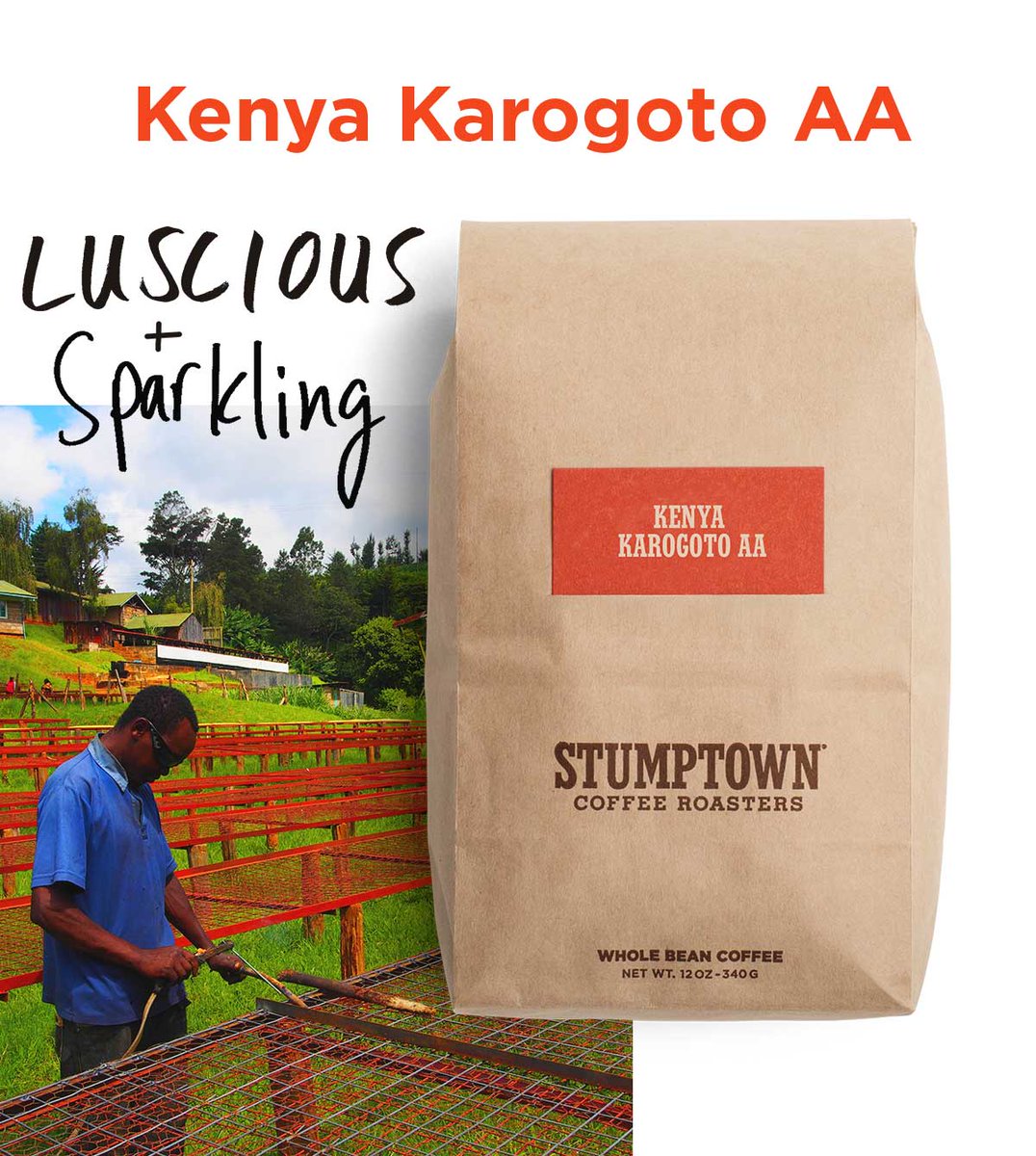 New Kenyan coffee alert! This elegant and complex cup really rewards close attention. 😍 bit.ly/23cu9vm
