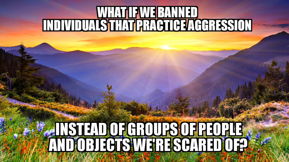 Freeeeedommm's tweet photo. Don't ban the things, or people. https://t.co/ggNa7ZKIOU