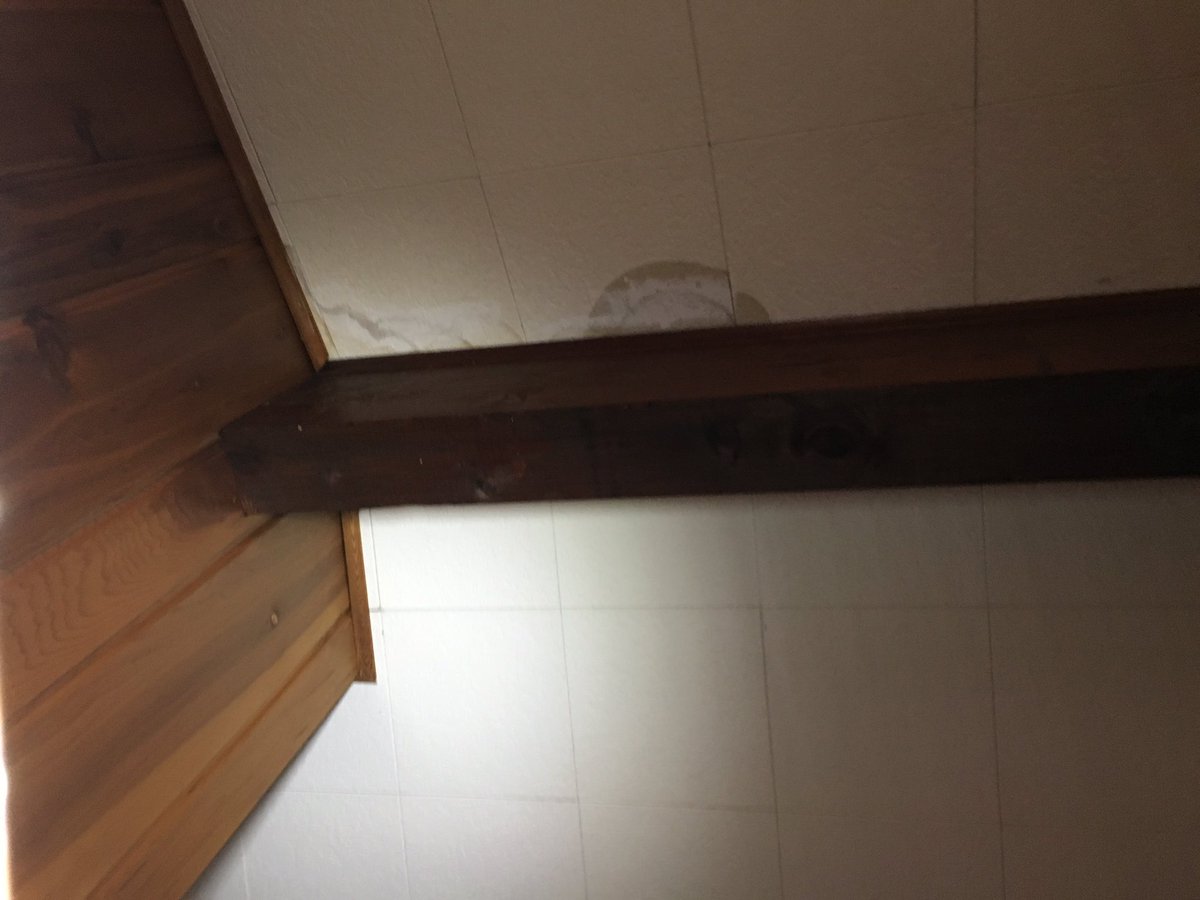 susiegodfrey1's tweet image. Drip.drip.drip #moneypit #raininginside #notgood #needtofixtheleak