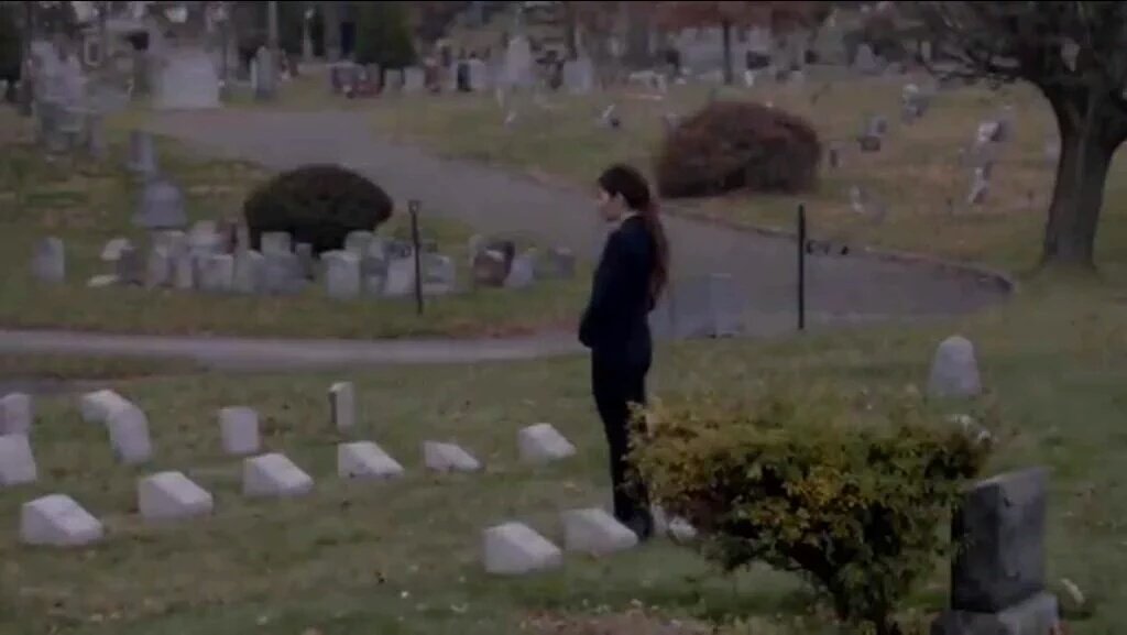 swiftmcgrathz's tweet photo. Sameen didn't kill herself so many times for this! 😭💔 #RootAndShaw https://t.co/MCcaHhwVUm