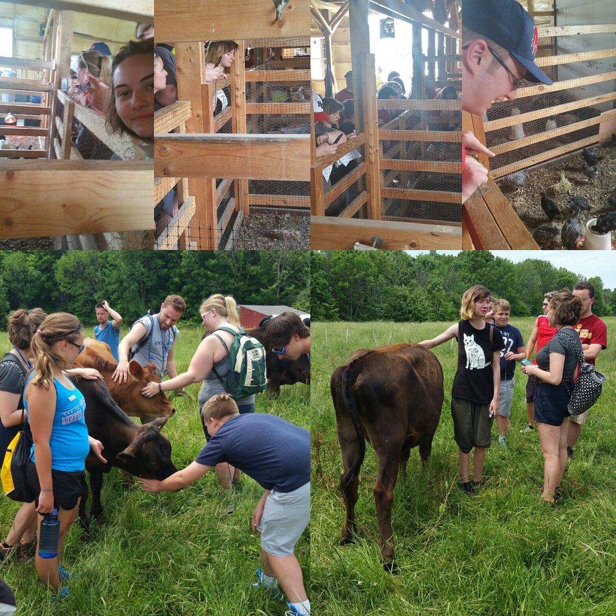 LearnStreamInt's tweet photo. Fun at the Couch Farm
#LearningStreams #SustainableFarming
#SeeTheWorldDifferently
@hiramcollege https://t.co/JYbDDl8QLB