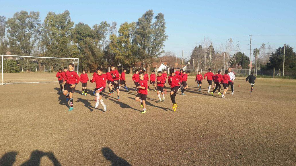 SemilleroPincha's tweet photo. Compartimos la felicidad de los chicos de las Infantiles de #EDLP vistiendo los buzos entregados. ¡Vamos leoncitos! https://t.co/9OrQnmHJAC