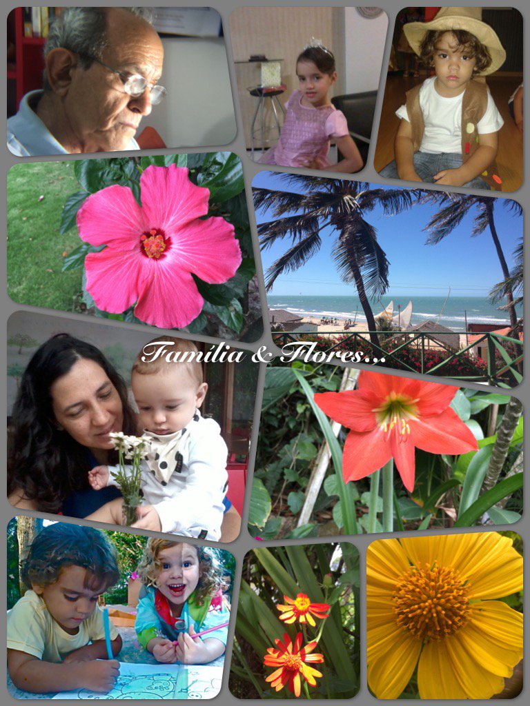 hhsilveira2007's tweet photo. Checkout this collage I made using TurboCollage app from https://t.co/NueCkFxvHH @TurboCollage #TurboCollage https://t.co/uMFEWolGTq
