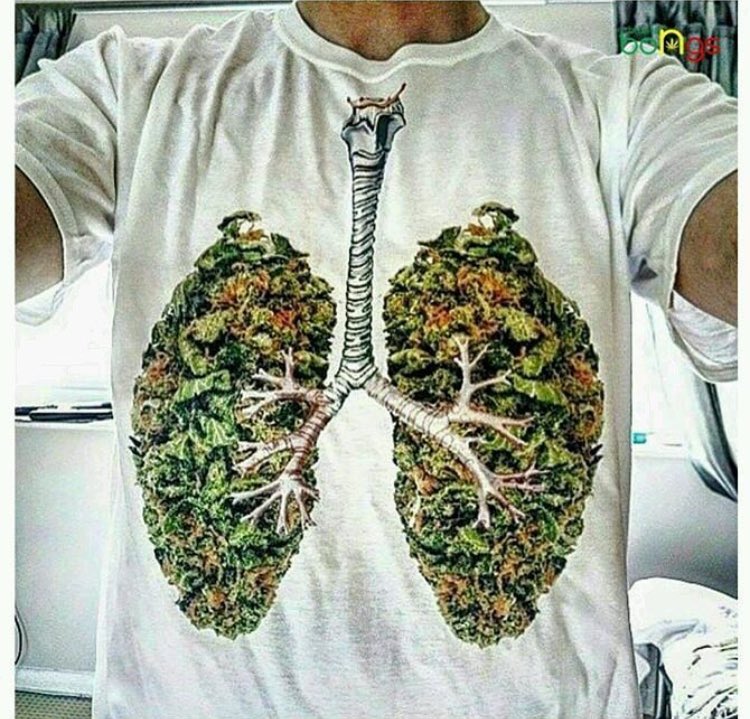 ColoradoSeed's tweet photo. Doctor: Do you smoke anything?
Me: https://t.co/bqdBupFZEY