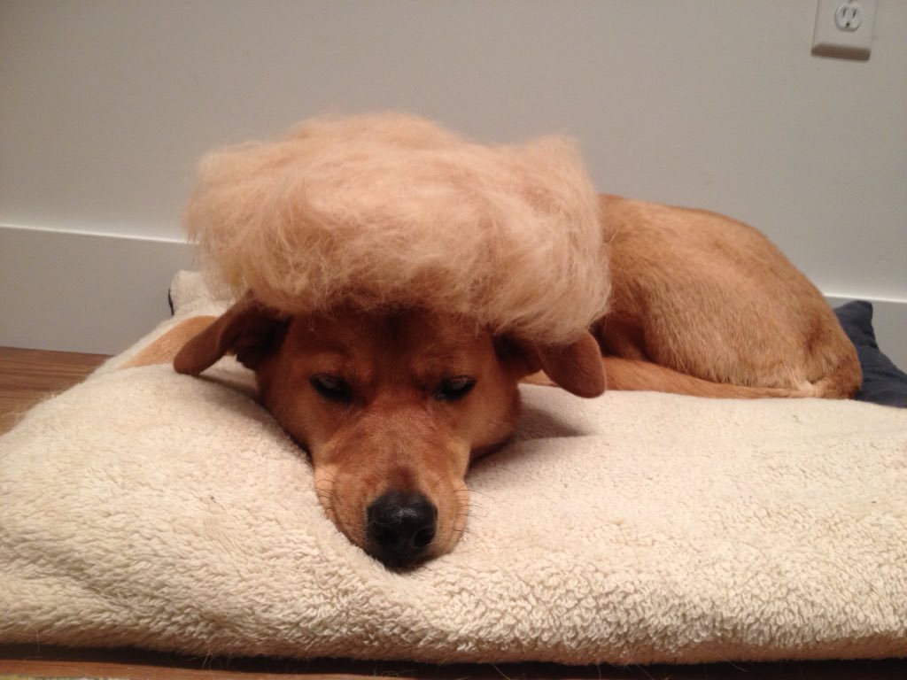 reidbeloni tweet media