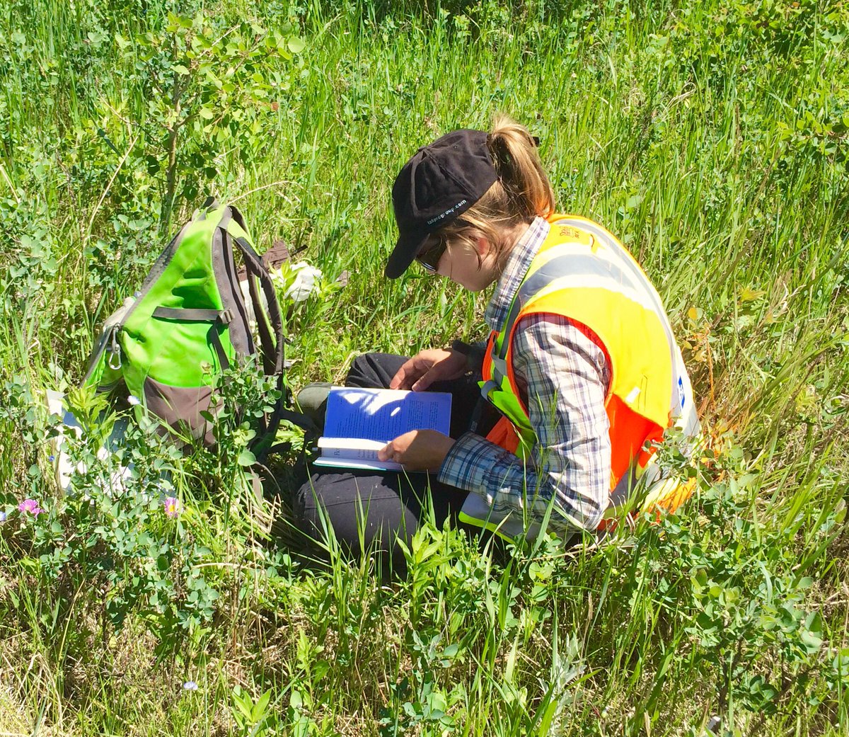 peatperformance's tweet photo. Beautiful day in the field with @prairieexplorer #ISLLife πΎ#ISLengineering π#justbiologistthing βοΈ#getpaidforthis πΏ https://t.co/lJwkAzxpGk