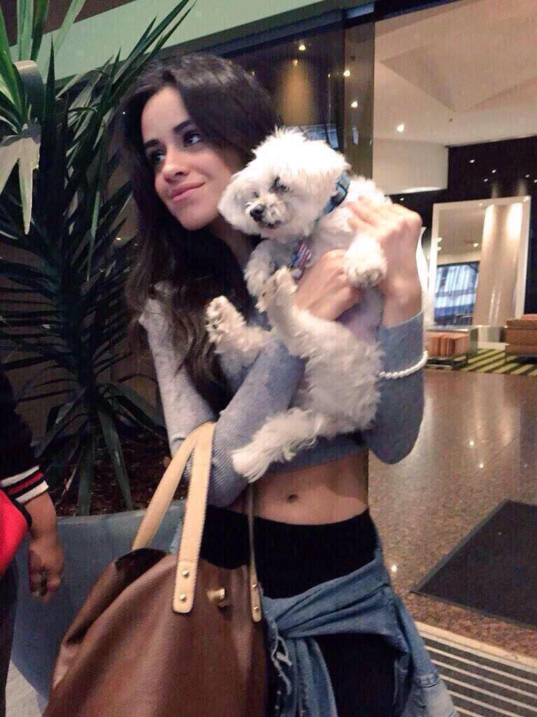 NARI2WILD's tweet photo. #wcw my 2 favorite things!! bea and dogs!!! i lov u bea u make me smile i hope u get enough sleep at some point https://t.co/kFSyfY7lKX