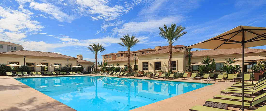 Beach Bus Bistro tweet media