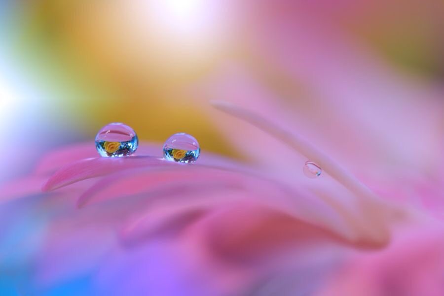 comuneq's tweet image. #calm #cool #mentalpower #confidence #relationships #networking #learn #effective #communication #skills @ #comuneq