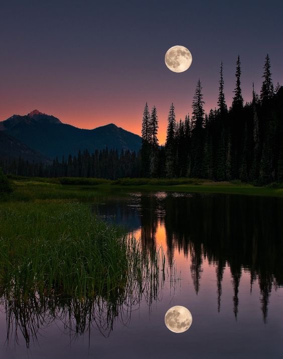 Love has no culture, race,
religion, boundaries. It is
pure &amp; beautiful like the
moon's reflection in a
quite lake.