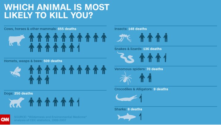 CNN's tweet photo. A majority of fatal alligator attacks in the U.S. happen in Florida. https://t.co/SDh5icidfB https://t.co/nTjHMUnQSs