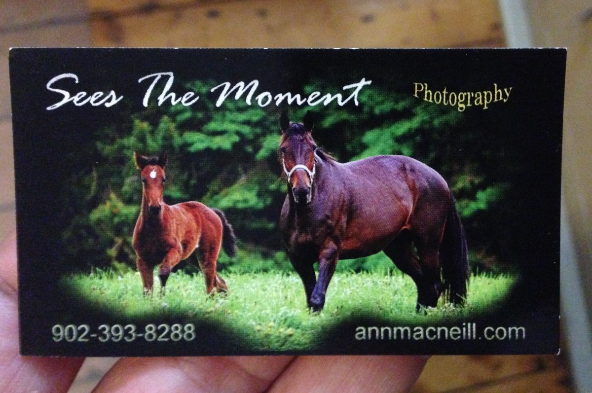 HarnessReport's tweet photo. Saw most beautiful #HarnessRacing pics in my life today--Ann McNeill/#PinetteRaceway
Will be in July #HarnessReport😀 https://t.co/A6XC8v0dvw