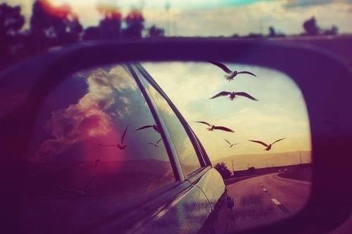 hani050's tweet photo. ضائعة هي أرواحنا تشتهي من يفهمها فقط... 
#hhani https://t.co/cnRll1t8Xh