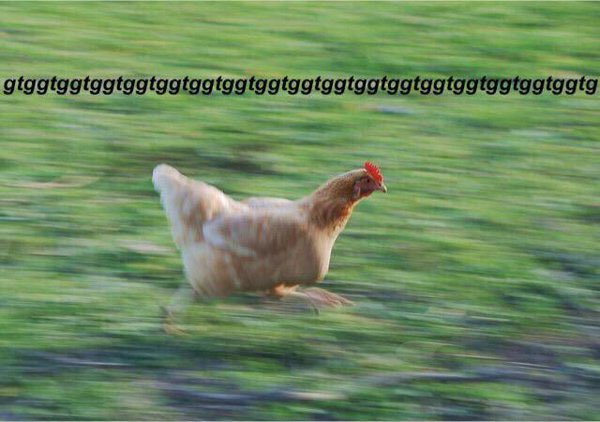 TvlertheCreator's tweet photo. When u send a risky text and u open the message to see if they replied and they start typing https://t.co/muaI6liF1S