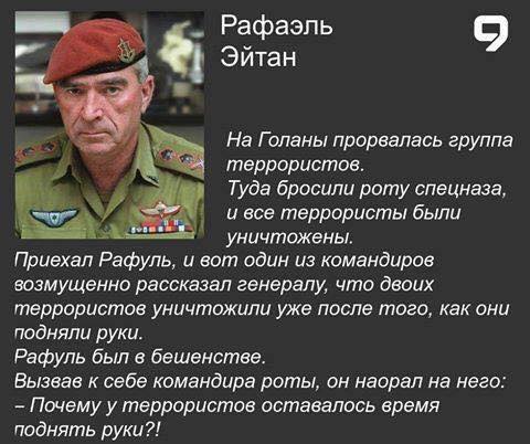 Image result for лугандония фото