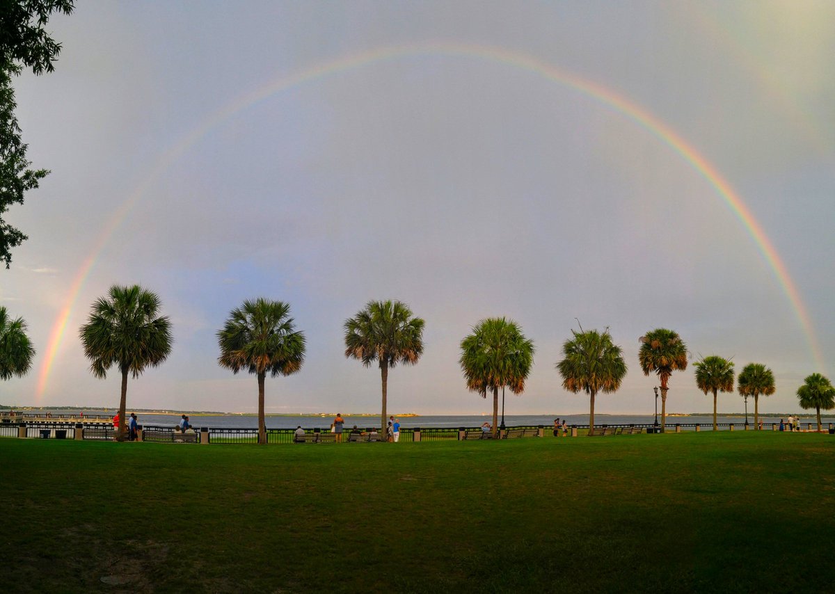CWink90's tweet image. This rainbow appeared tonight in Charleston. Notice the 9 palm trees underneath #chs9 #chsstrong #Orlando #OneLove