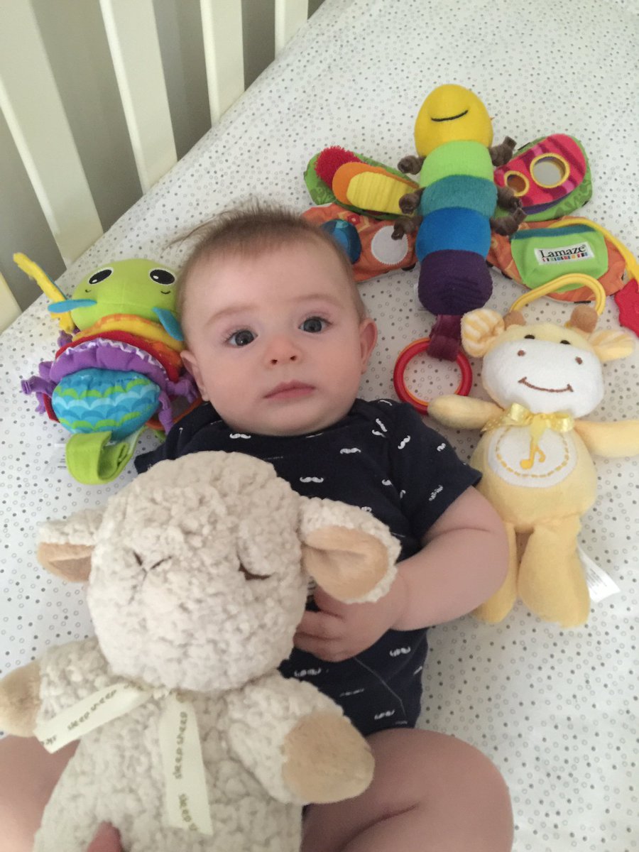 andrewkober's tweet photo. Asher. He is my reason for stronger gun regulations. I support the #filibuster. Call your representatives. https://t.co/X3lsZI1nud