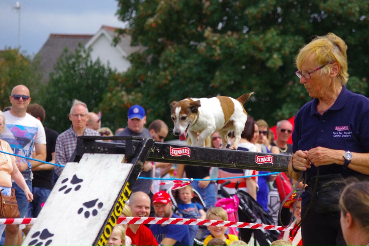 PFTDogDisplay's tweet photo. Walking the ladder #flitwickCarnival @EventsFTC @wickdom https://t.co/I0aYUkkxxy