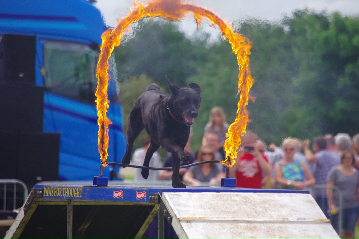 PFTDogDisplay's tweet photo. The fire π₯π₯π₯#flitwickCarnival @EventsFTC @bec_sjones @gcuthb @karapowell306 https://t.co/mAJfZ9N1dJ