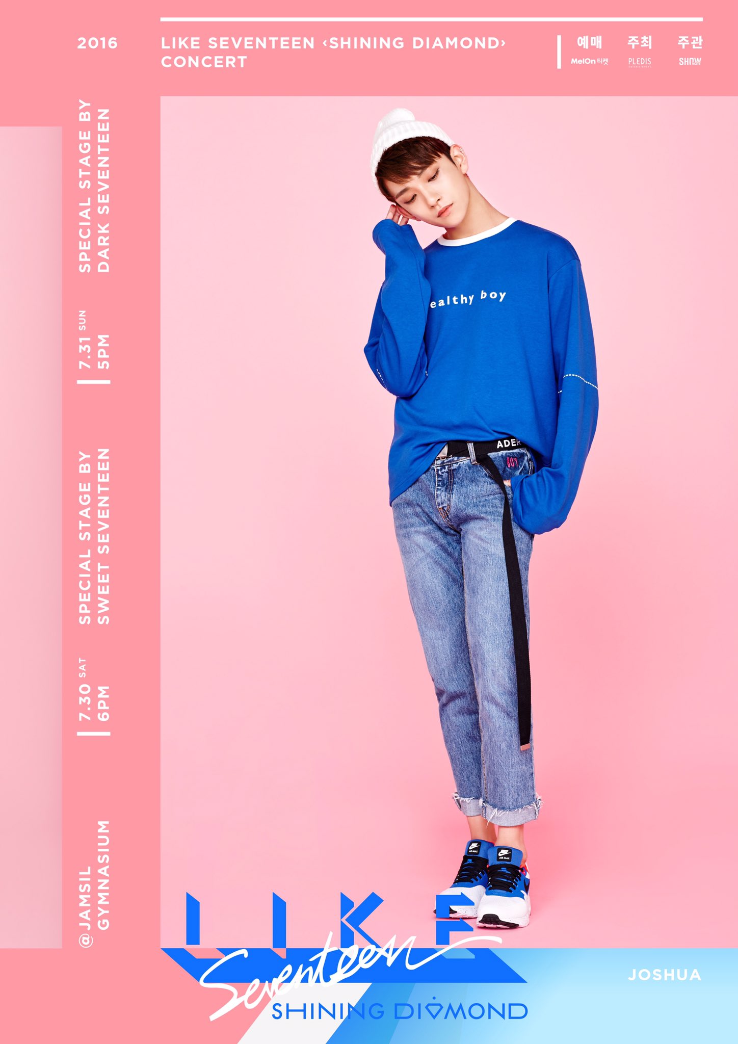 SEVENTEEN アクリルスタンド ジョシュア ドギョム スングァン バーノン SEVENTEEN アクリルスタンド ジョシュア ドギョム スングァン
