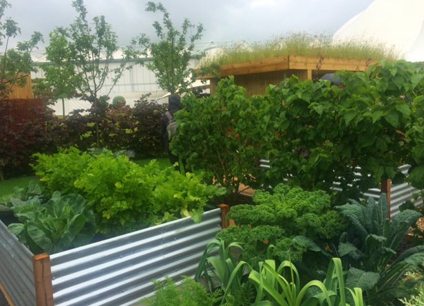 Growing goodness: Our #HfL #community garden is open! <a href="/BBCGWLive/">BBCGWLive</a> together w/ @TCVBirmingham @S4E_HES