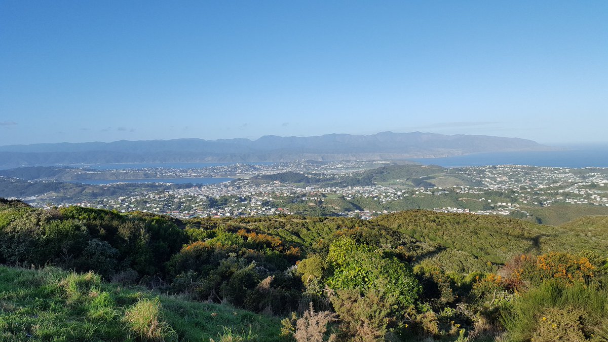 View from the Brooklyn Wind Turbine today #whywellington