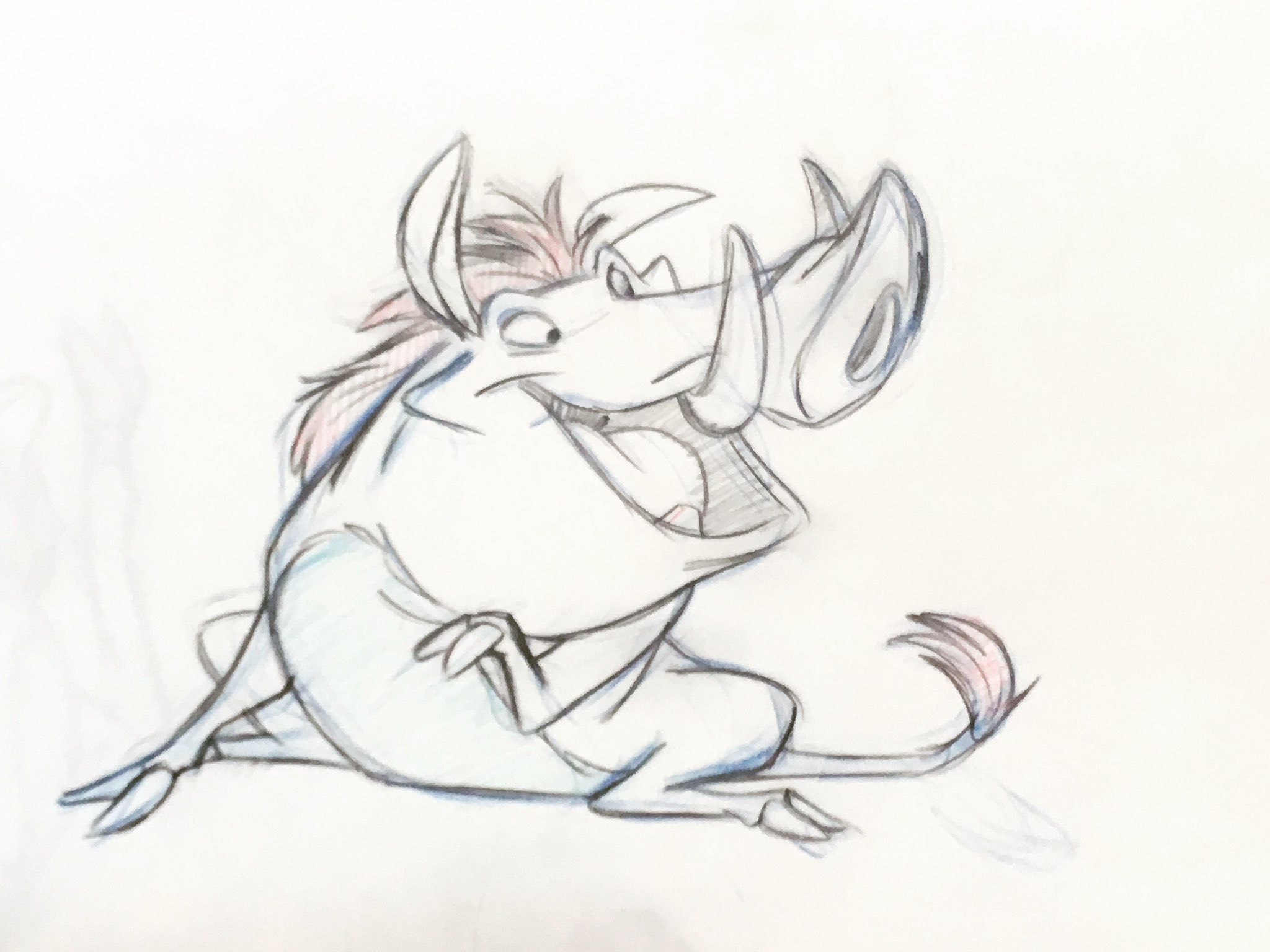 Lion King Timon And Pumbaa Drawing