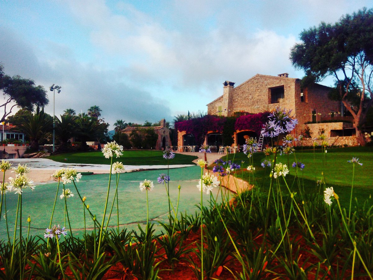 PulaGolf's tweet photo. Vamos a x otro gran día #Go ⛳🍀🐞👍 #BuenosDias #gutenmorgen #goodmorning #BonDia #bonjour #buongiorno @marabanscoffee https://t.co/FTAFupWbgT