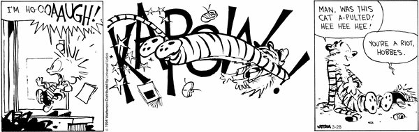 Calvin and Hobbes Fan Account (@calvinn_hobbes) on Twitter photo 