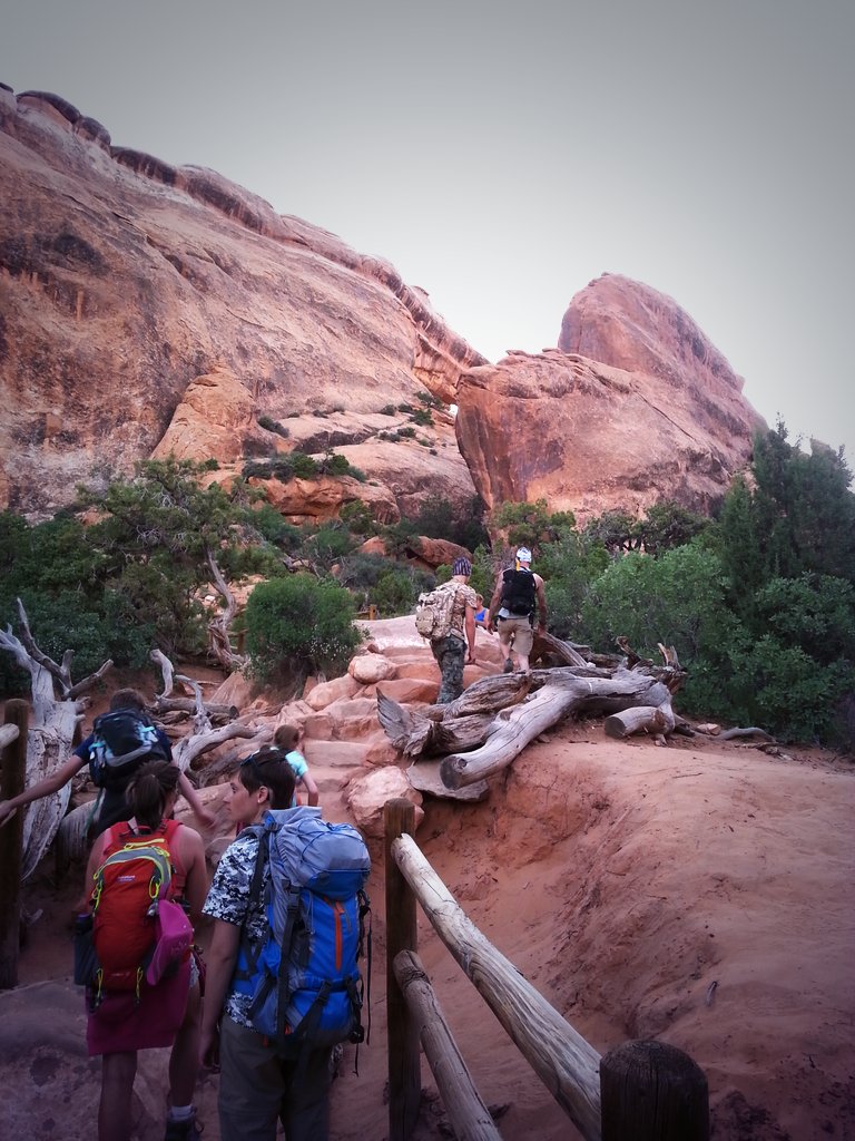 SternbergMuseum's tweet photo. Amazing evening/night hike through Devil's Garden at #Arches National Park! Tons of wildlife! #FieldNaturalists https://t.co/LO3PsfTxa8