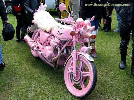 Twitter 上的 Accela バイク記事紹介 真っピンクに塗られたバイクかと思いきや よく見るとブタさんカスタム ﾟdﾟ T Co G4myi9onam Twitter