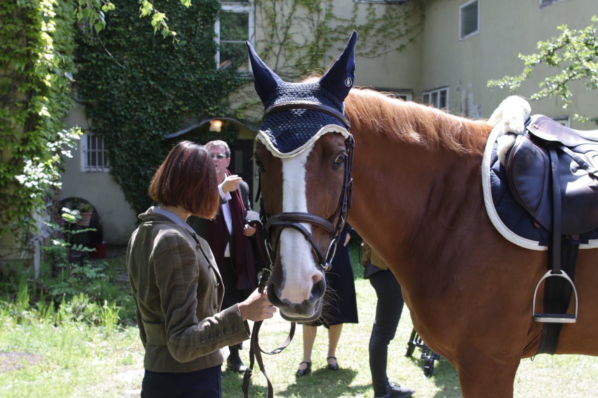Few pictures from my horse and me on camera. I cannot wait to see it in 2017.