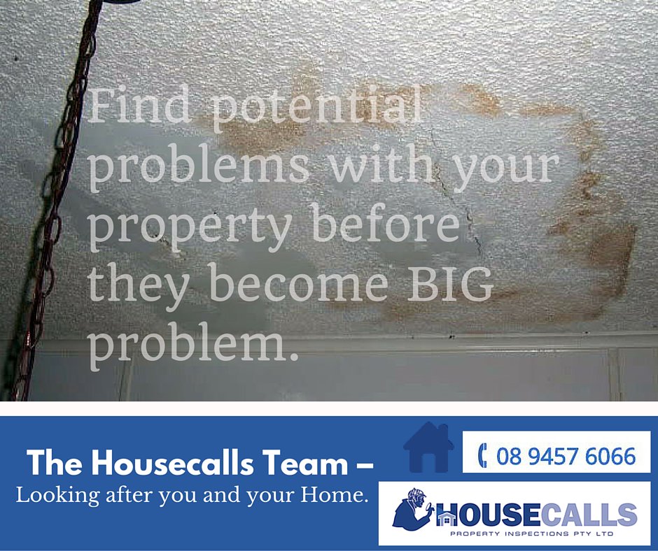 HouseCallsPty's tweet photo. If you're unsure to what extent a problem has reached, we can inspect and provide detailed report on our findings! https://t.co/y84yTMEpG4