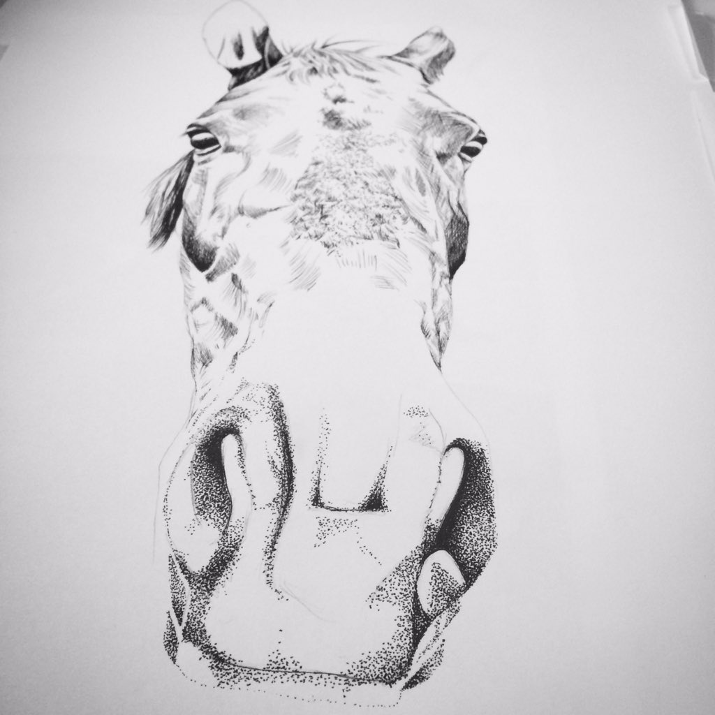 Little Fern tweet media