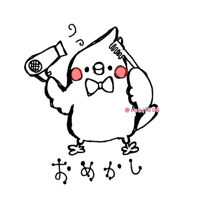 オカメインコのtwitterイラスト検索結果 古い順