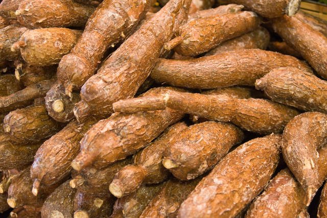 MillerMagazine's tweet photo. "#Rockefeller Vakfı, #manyok için 1 milyon dolar yardımda bulunacak!" Miller Dergisi #tahıl #bulgur #pirinç #yem https://t.co/wTwfpdyWGb