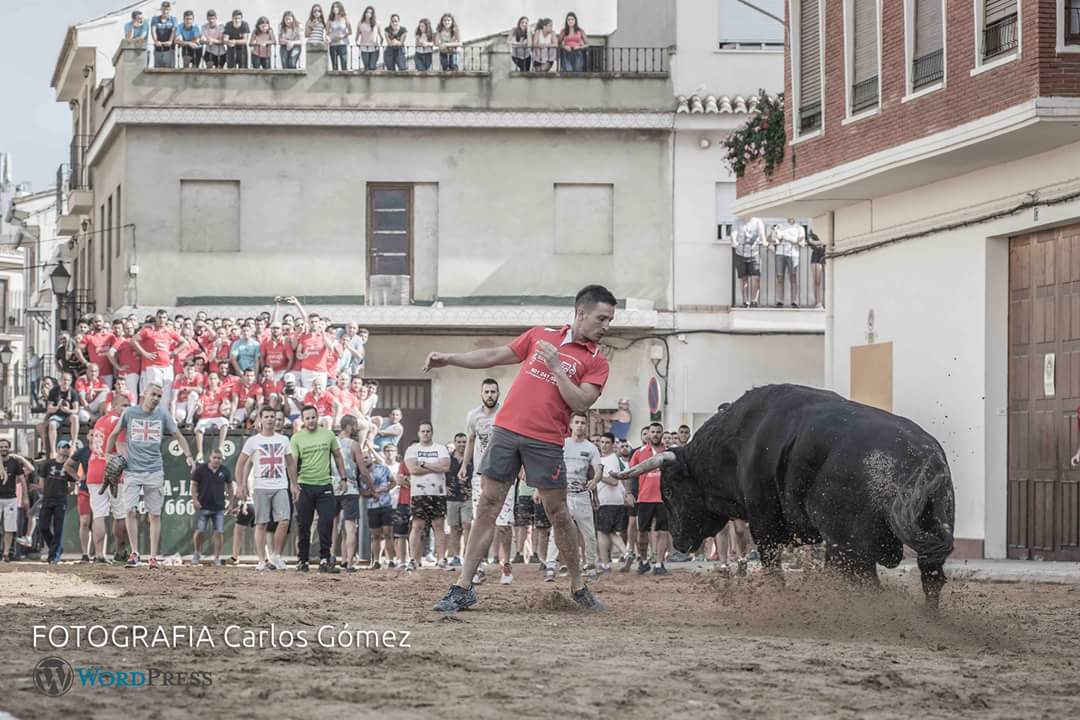 carlosgoar's tweet photo. Que me digan viendo esta foto,¿donde está el maltrato?
#Sialboualcarrer https://t.co/vHHrMQadSI