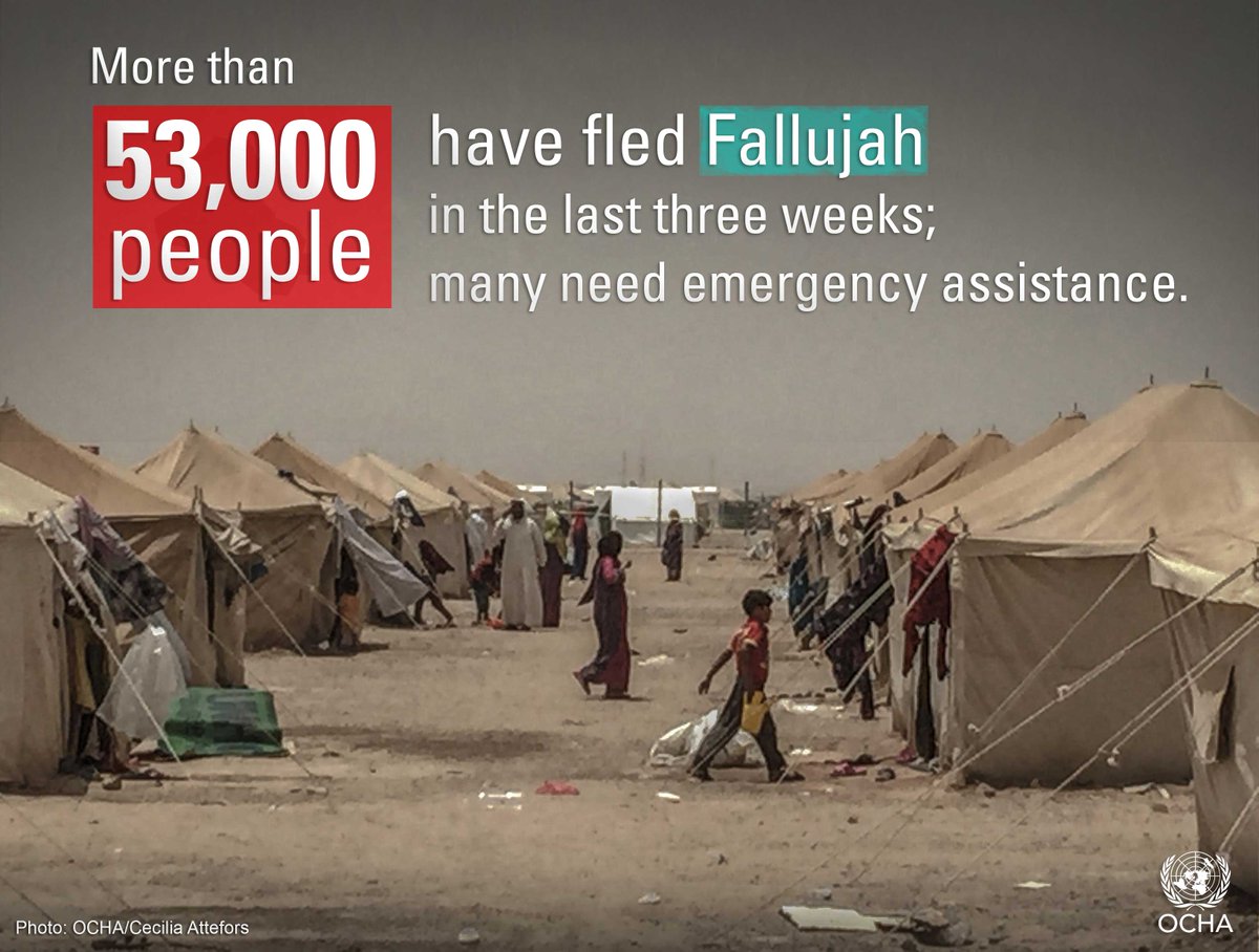 UNICEFmena's tweet image. RT @OCHAIraq "Displacement from #Fallujah #Iraq has sharply increased since beginning of June. #IraqCrisis https://t.co/0AMbLRoI8E"